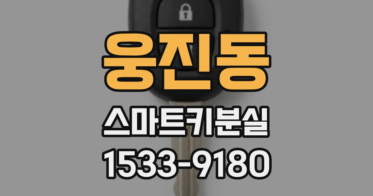 웅진동 스마트키분실