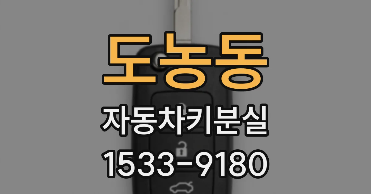 도농동 자동차키분실