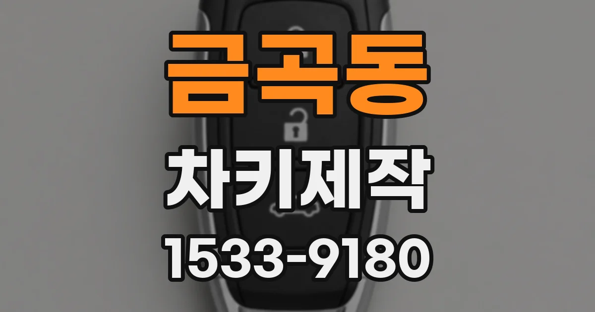 금곡동 차키제작