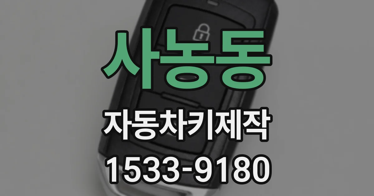 사농동 자동차키제작