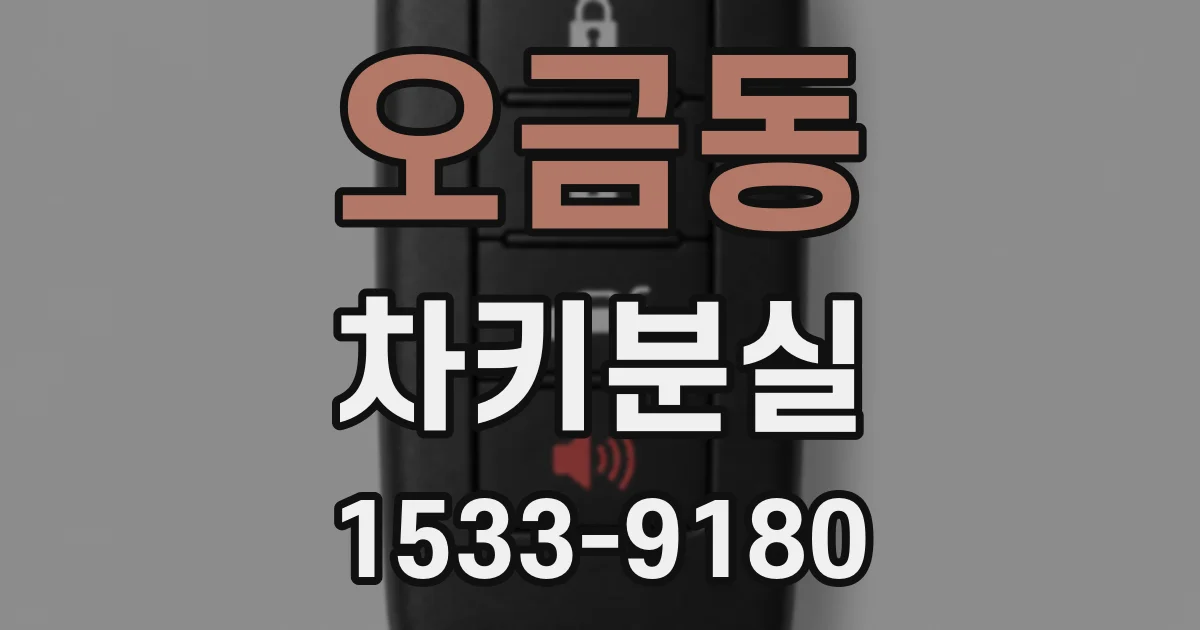 오금동 차키분실