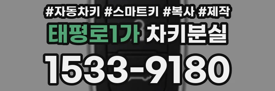 태평로1가 차키분실