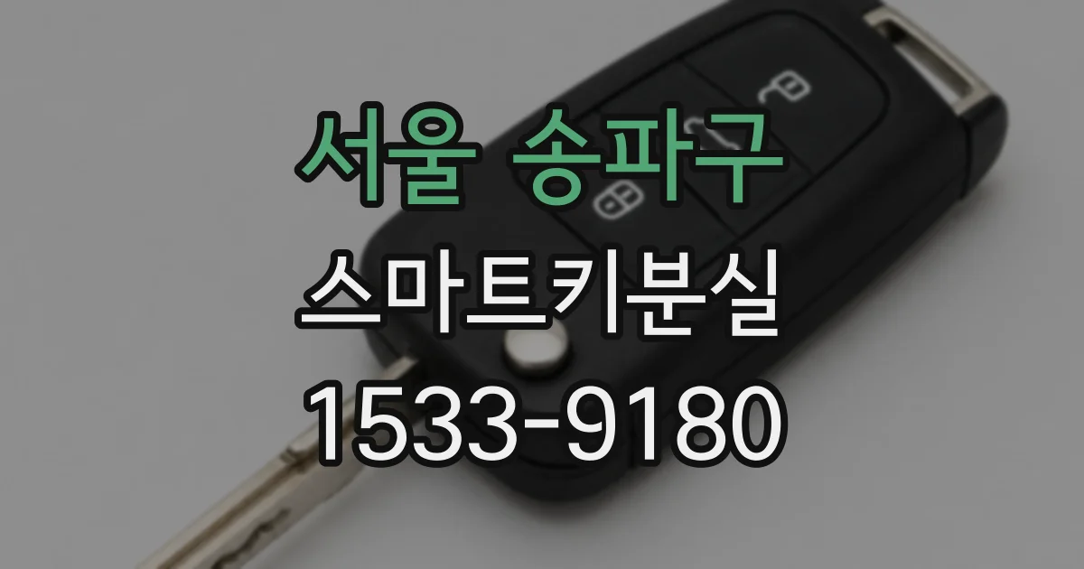 서울 송파구 스마트키분실