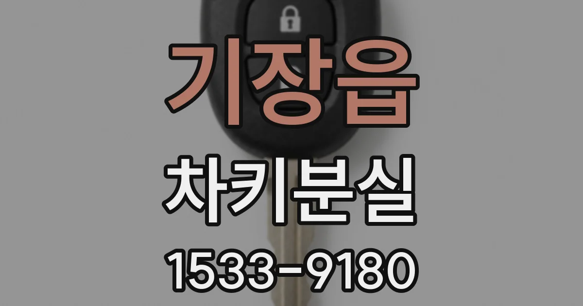 기장읍 차키분실