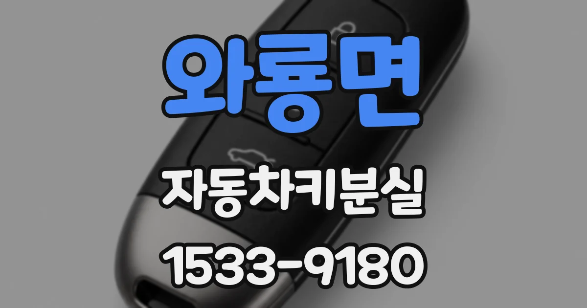 와룡면 자동차키분실