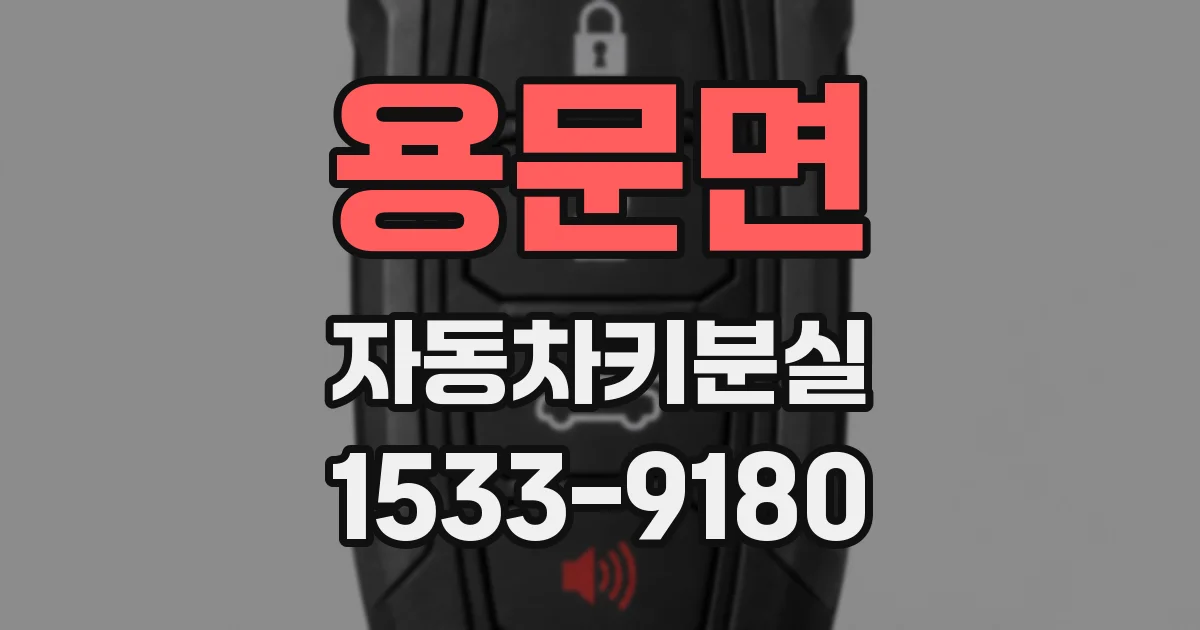 용문면 자동차키분실