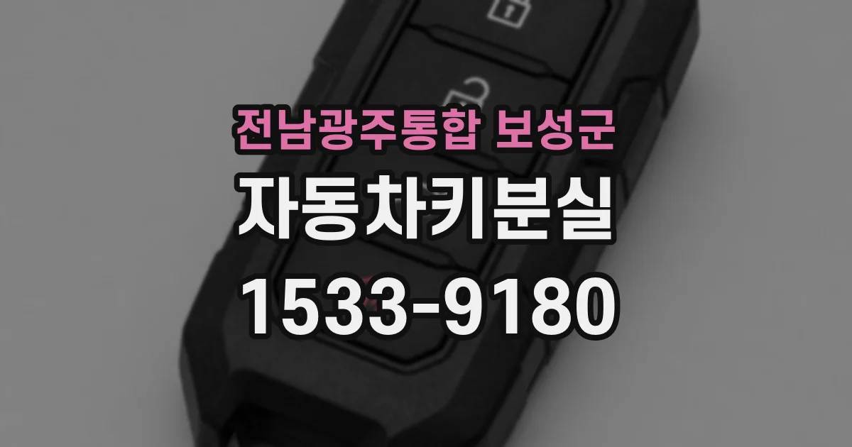 전남광주통합 보성군 자동차키분실