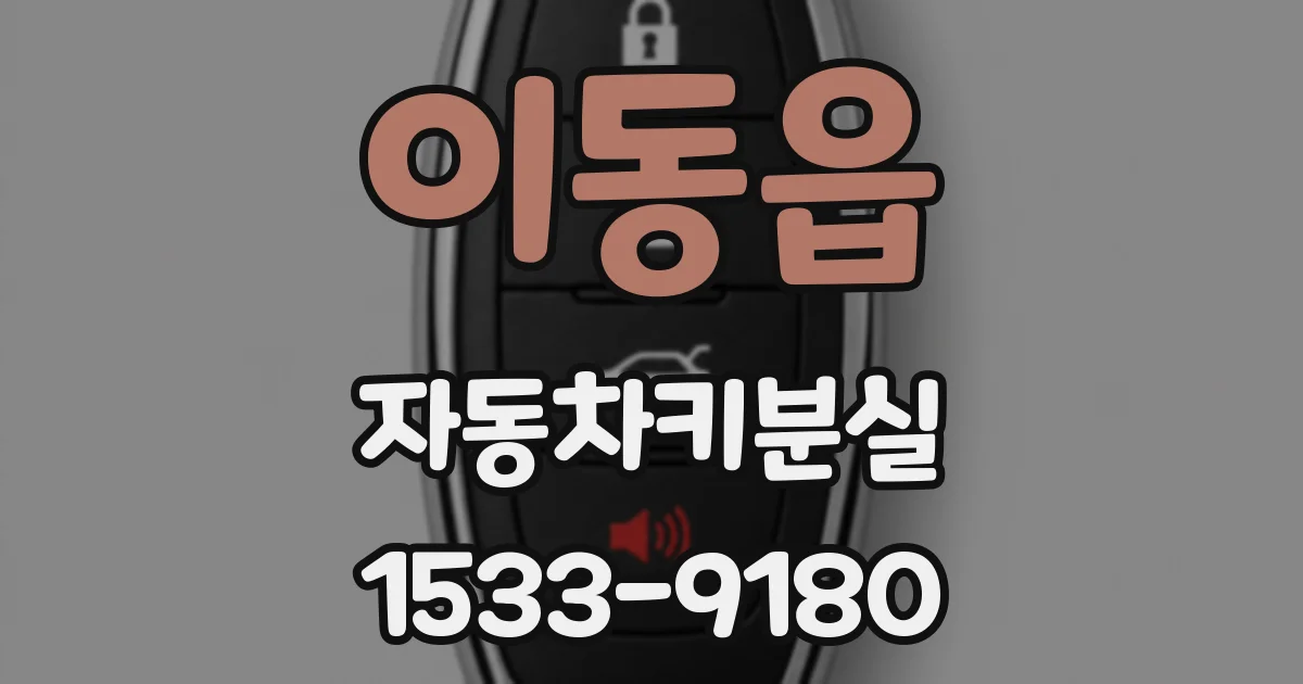 이동읍 자동차키분실