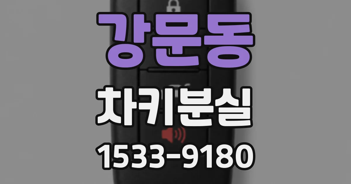 강문동 차키분실