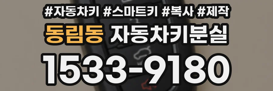 동림동 자동차키분실