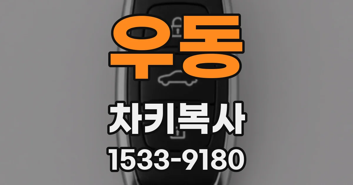 우동 차키복사