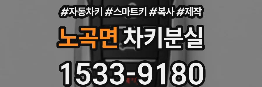 노곡면 차키분실