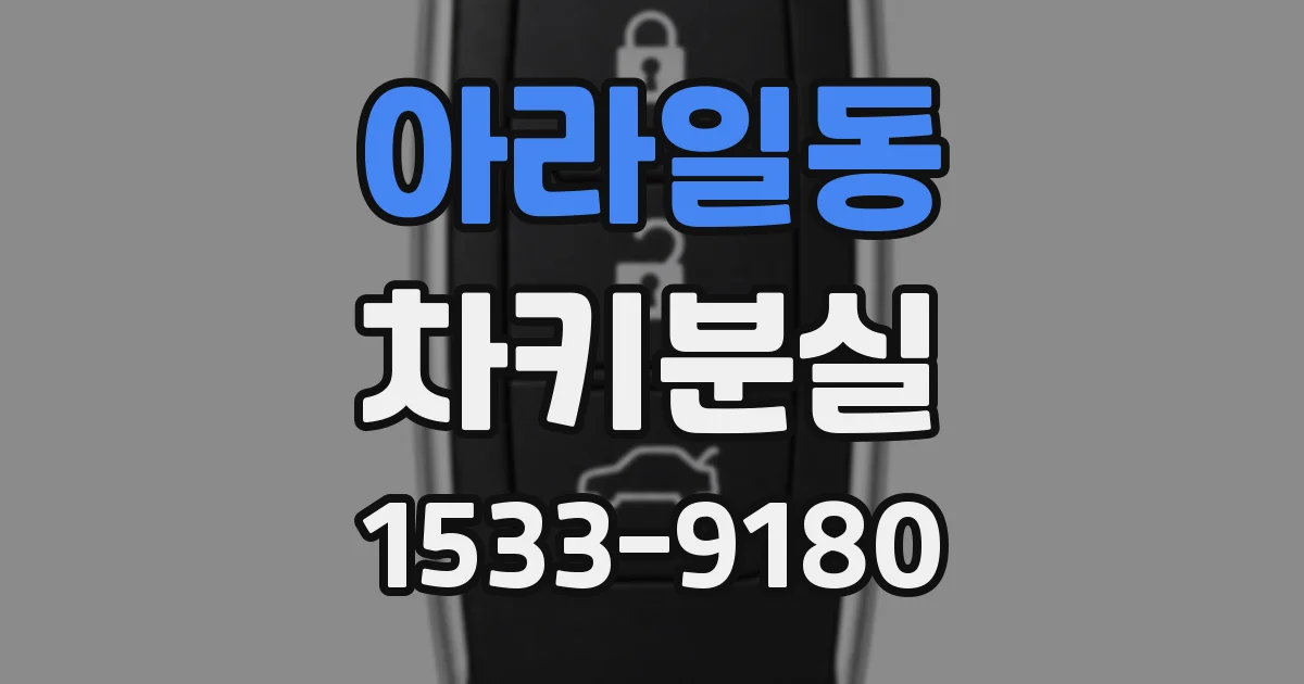 아라일동 차키분실