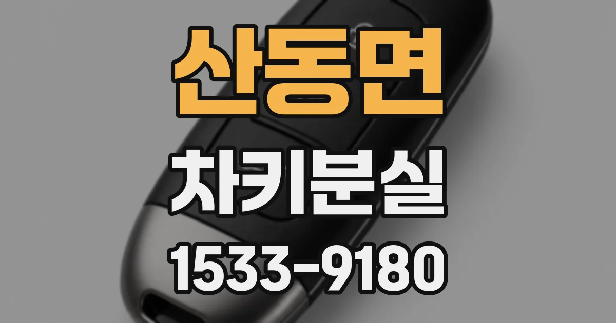 산동면 차키분실