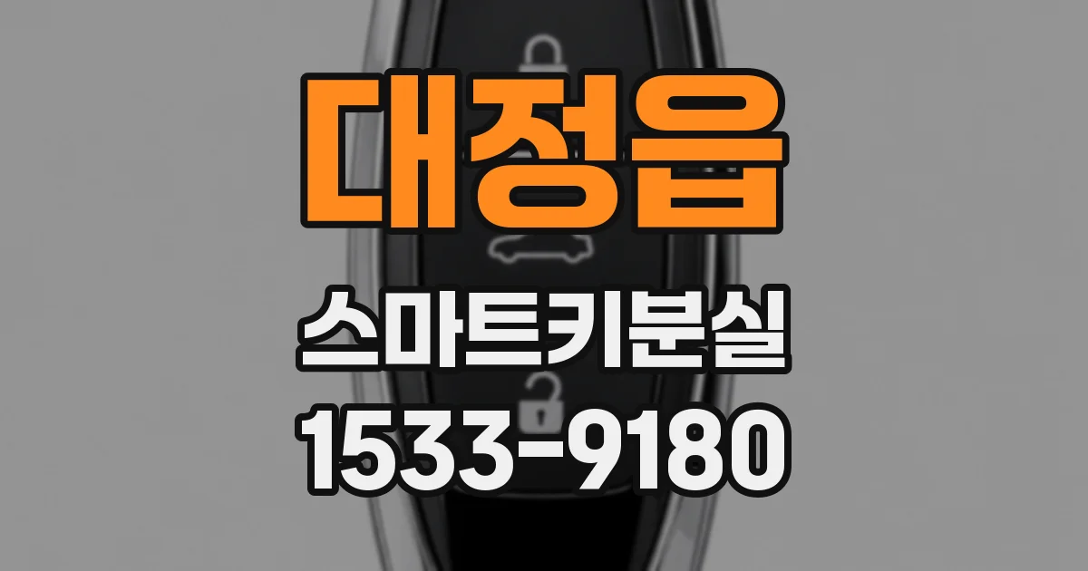 대정읍 스마트키분실