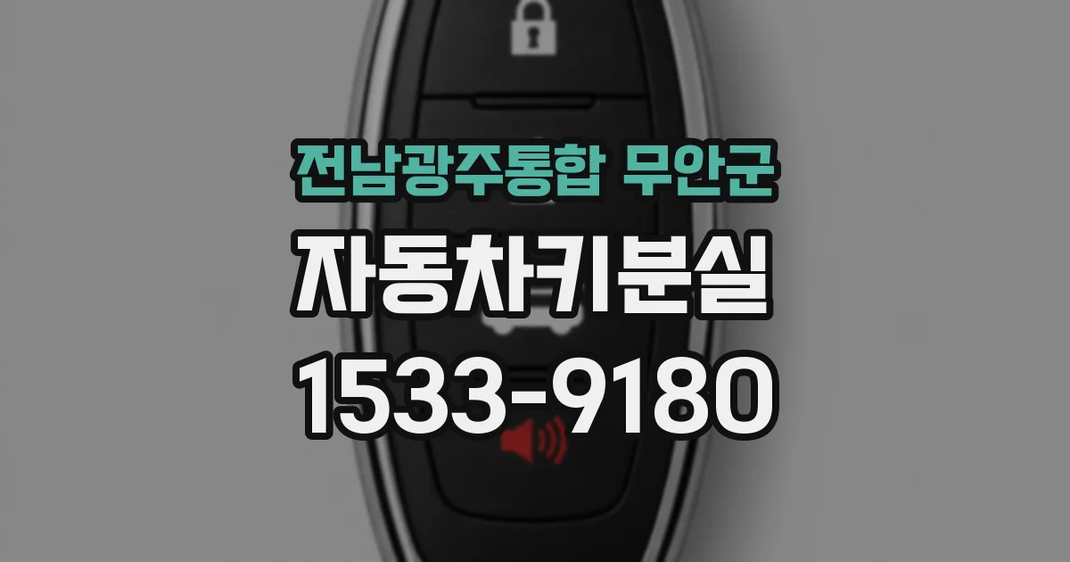 전남광주통합 무안군 자동차키분실