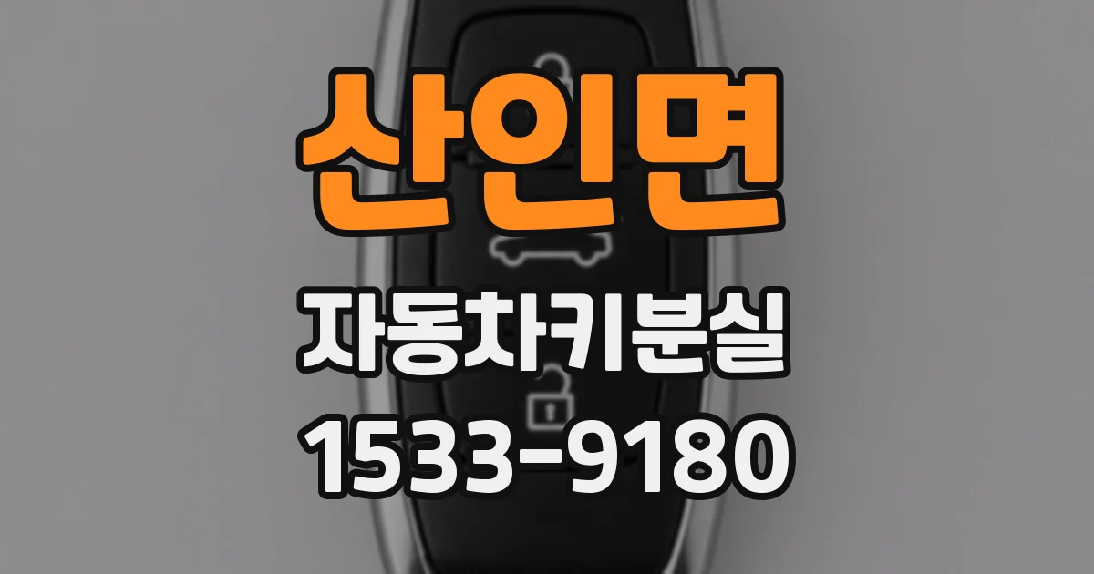 산인면 자동차키분실