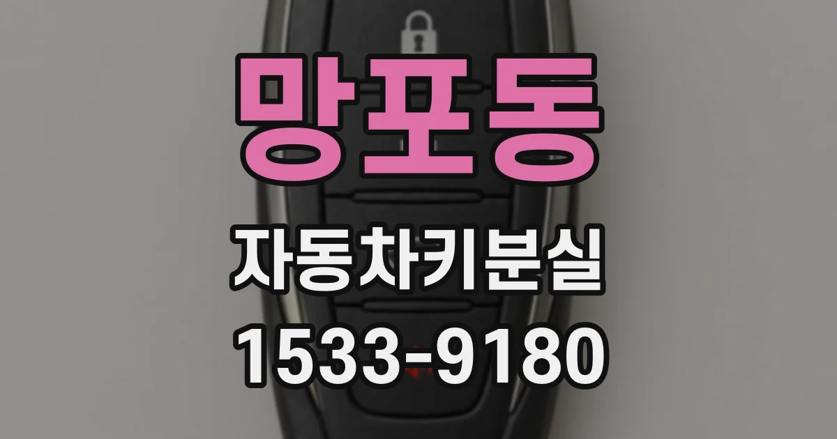 망포동 자동차키분실