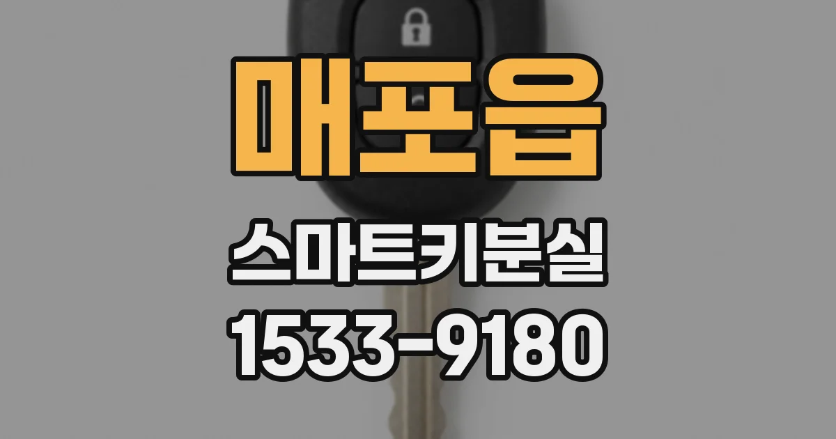 매포읍 스마트키분실