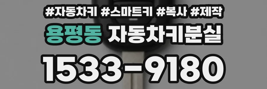 용평동 자동차키분실