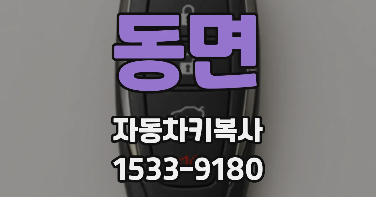 동면 자동차키복사