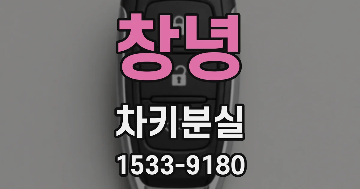 창녕 차키분실