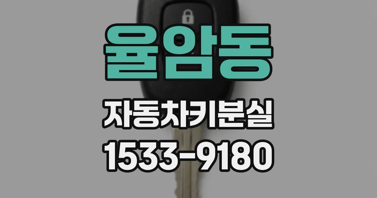 율암동 자동차키분실