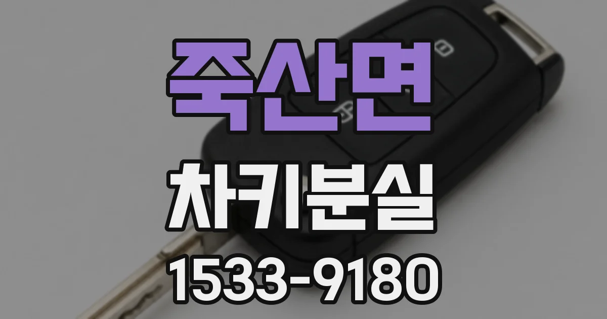 죽산면 차키분실