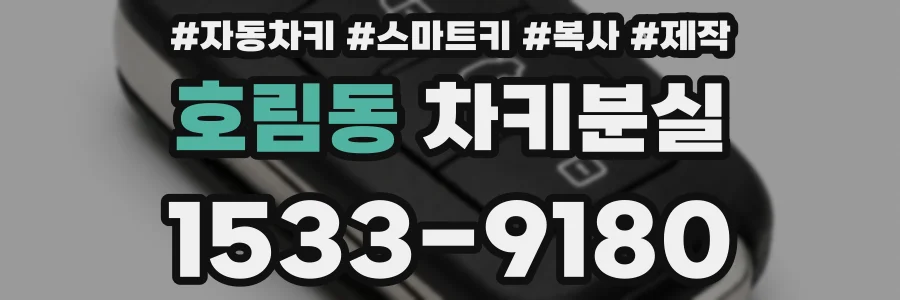 호림동 차키분실