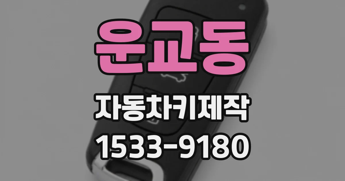 운교동 자동차키제작