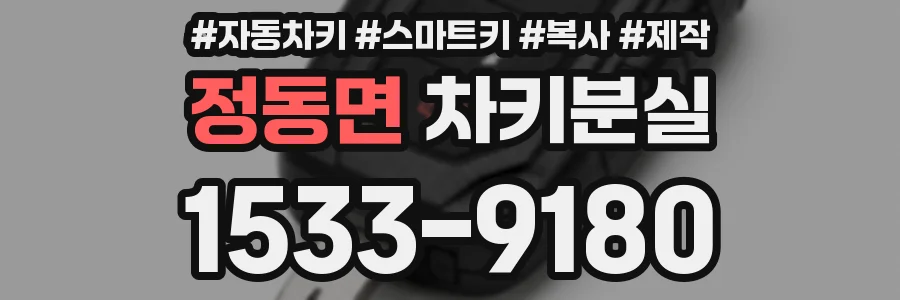 정동면 차키분실