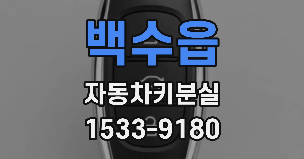 백수읍 자동차키분실