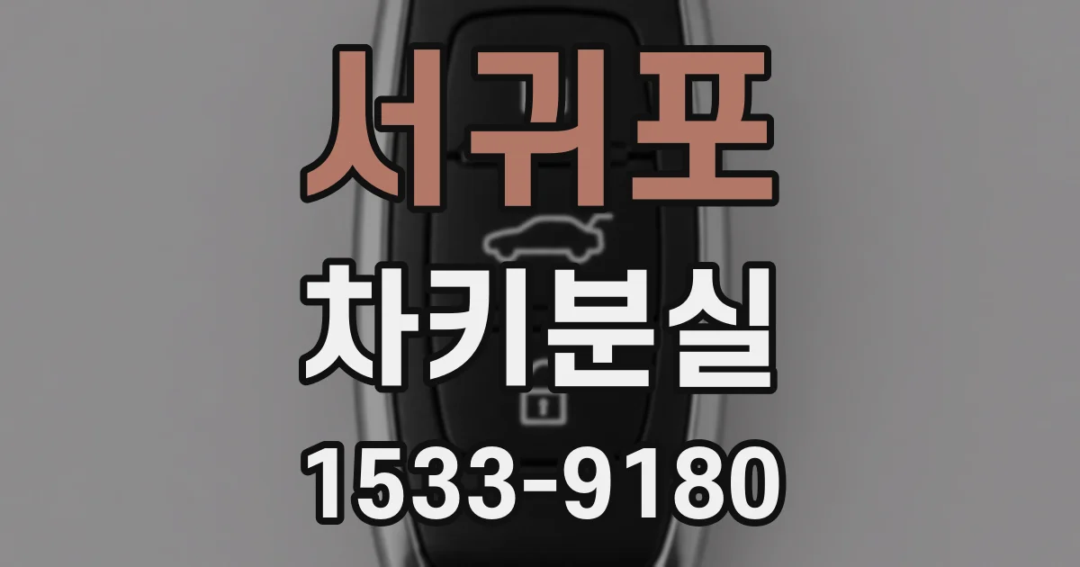 서귀포 차키분실