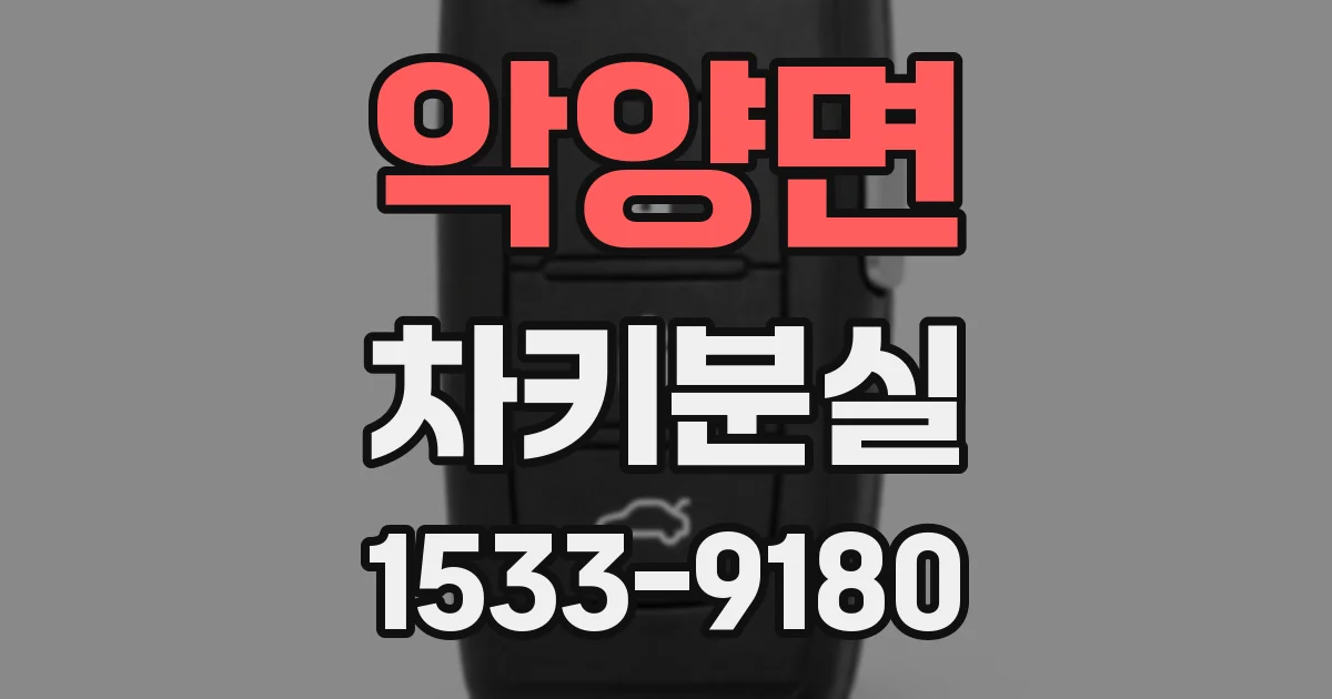 악양면 차키분실