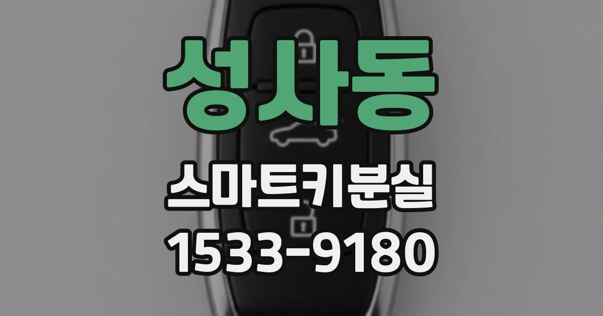 성사동 스마트키분실