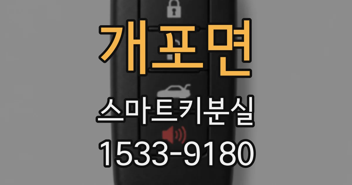 개포면 스마트키분실