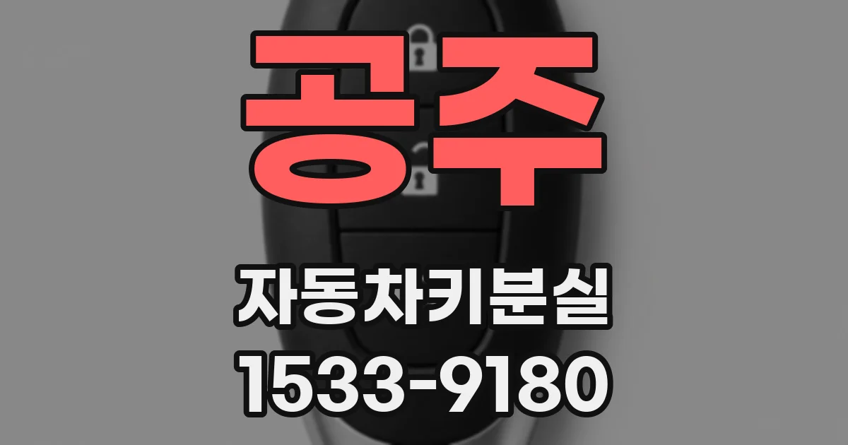 공주 자동차키분실