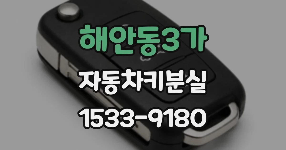 해안동3가 자동차키분실