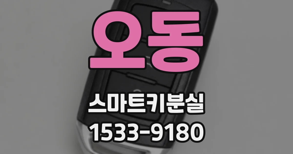 오동 스마트키분실