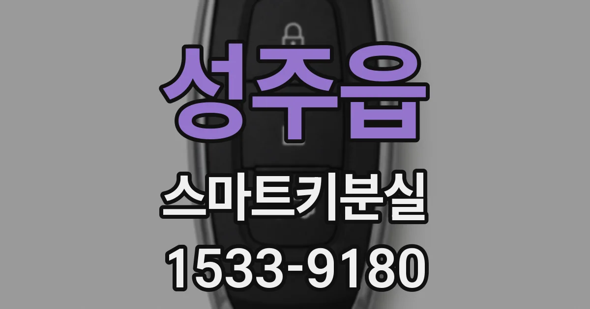 성주읍 스마트키분실