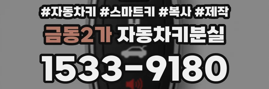 금동2가 자동차키분실