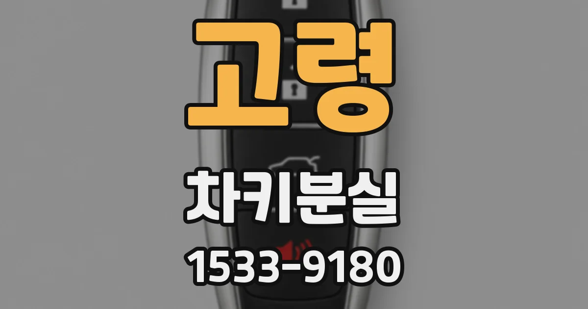 고령 차키분실