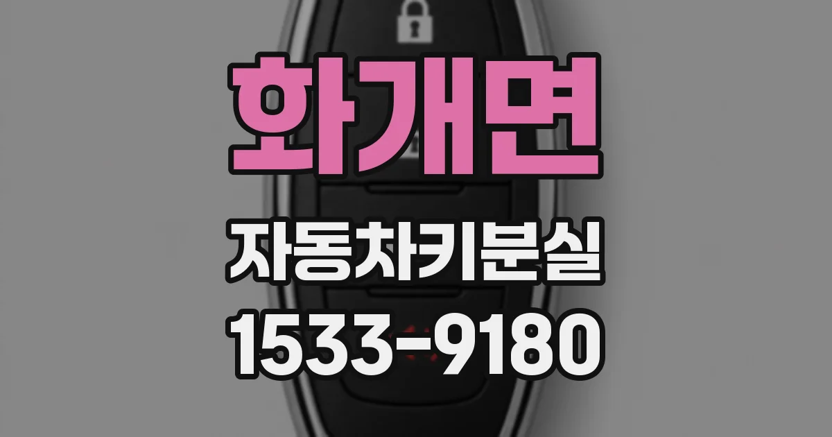 화개면 자동차키분실