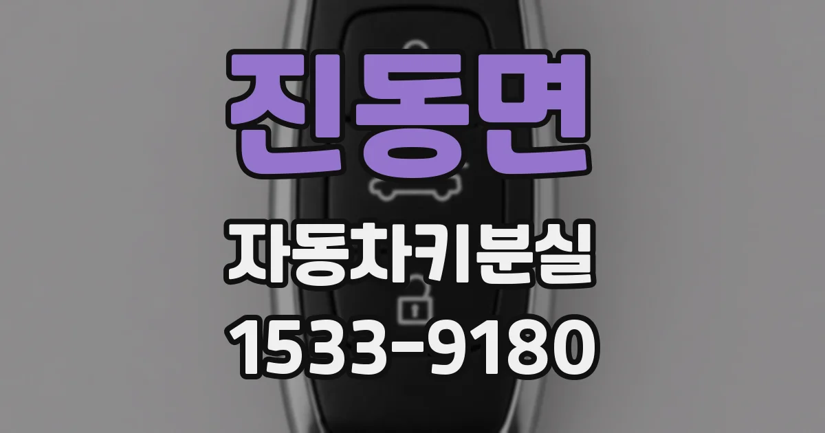 진동면 자동차키분실
