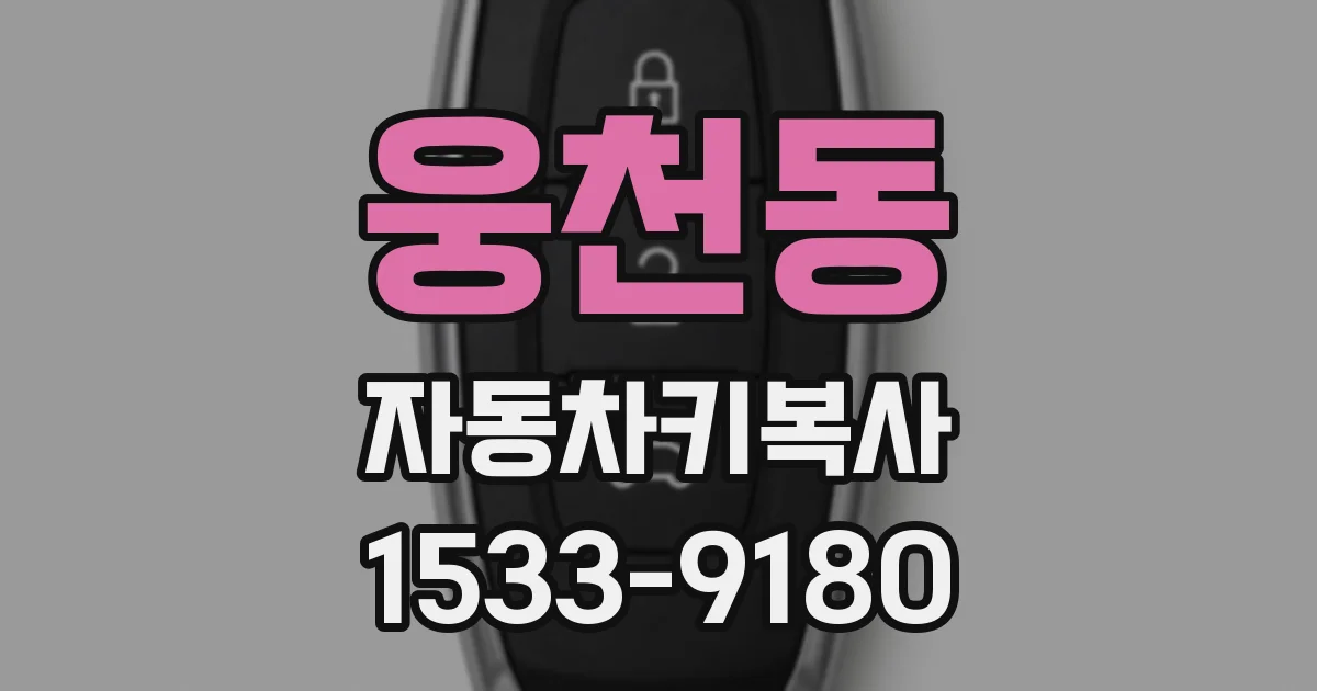 웅천동 자동차키복사
