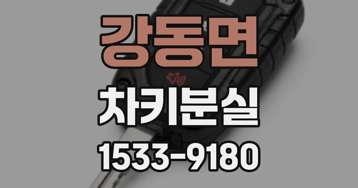 강동면 차키분실