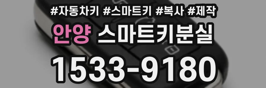 안양 스마트키분실