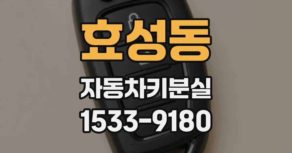 효성동 자동차키분실