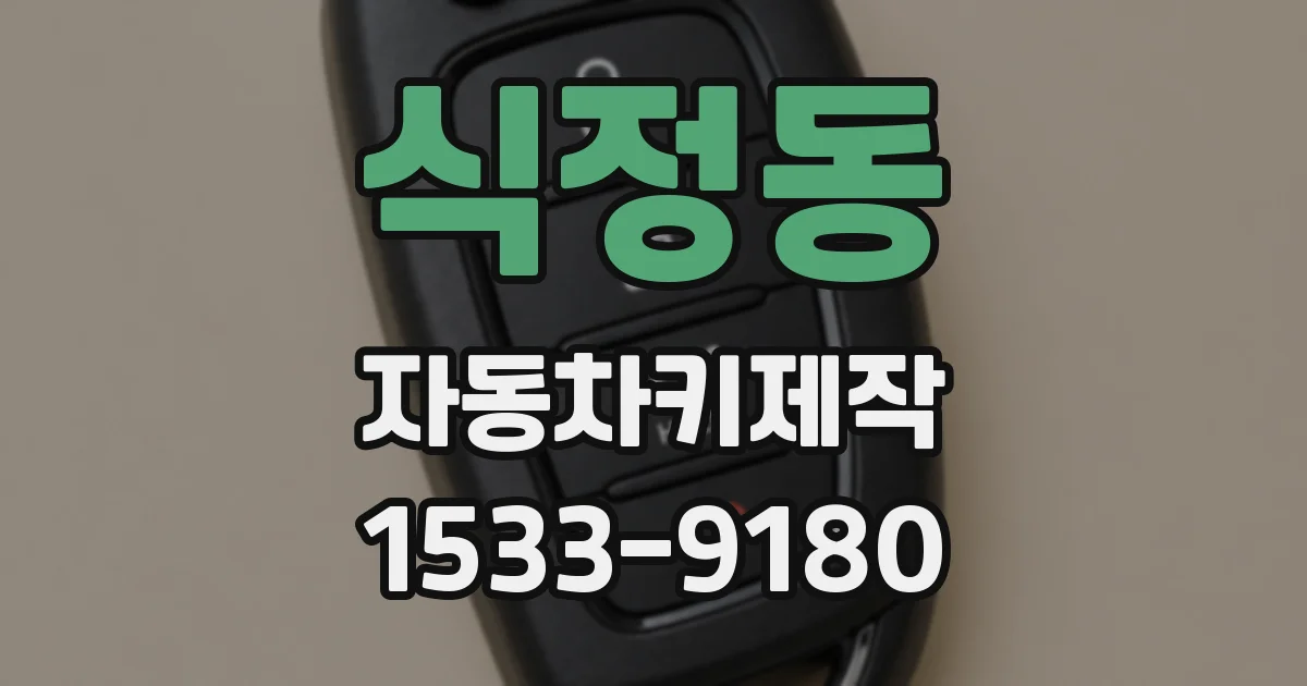 식정동 자동차키제작