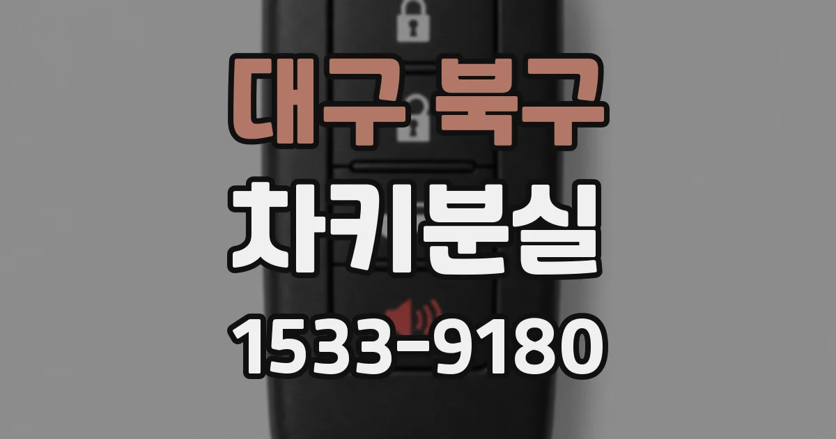 대구 북구 차키분실